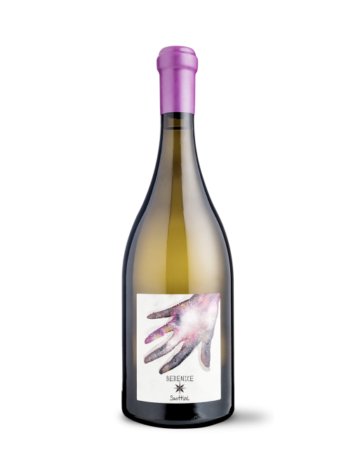 Benaco Bresciano Bianco Berenice Saottini