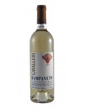 CURTEFRANCA Bio BIANCO VIGNA RAMPANETO 2018 CAVALLERI
