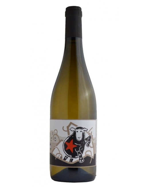 Verdicchio SALTATEMPO 2017 La Marca san Michele