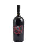 San Gioan Valtenesi Magnum 2013 Pasini