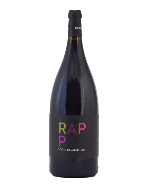 Barbera del Monferrato superiore 2013 Reitemp