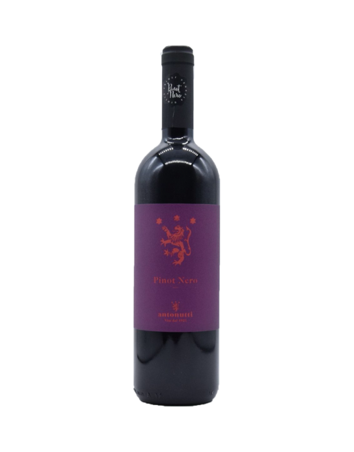 Pinot Nero 2018 Friuli Antonutti