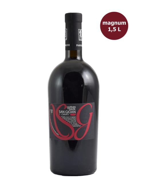 San Gioan Valtenesi Magnum 2013 Pasini