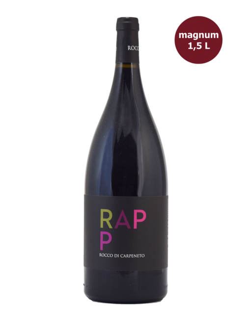 Barbera del Monferrato superiore 2013 Reitemp