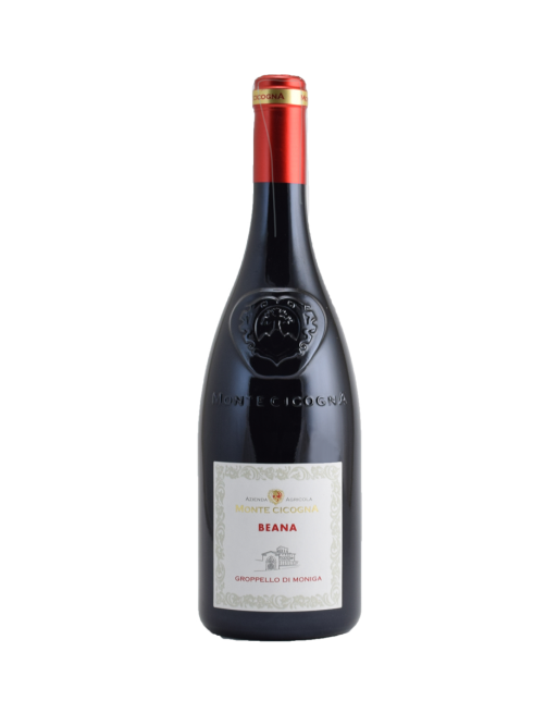 Groppello Beana 2013 Monte Cicogna