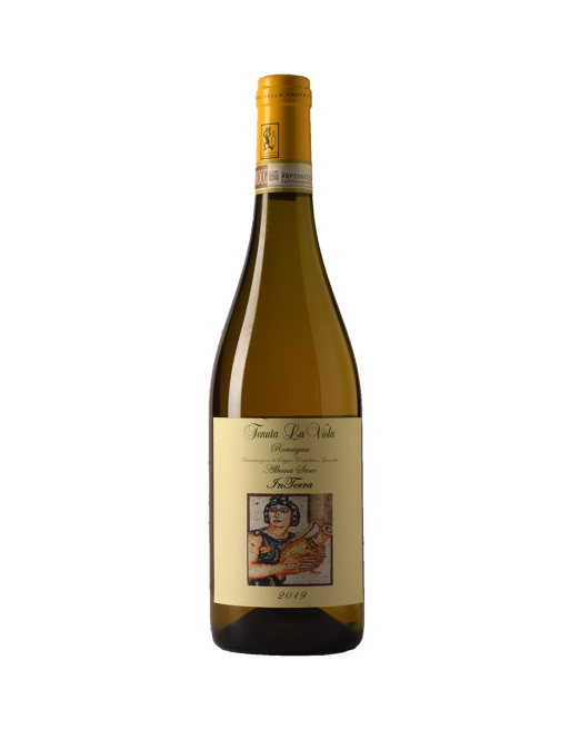 Romagna Albana secco InTerra 2019 Tenuta la Viola