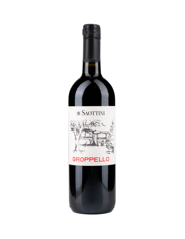 RIVIERA DEL GARDA GROPPELLO 2017...