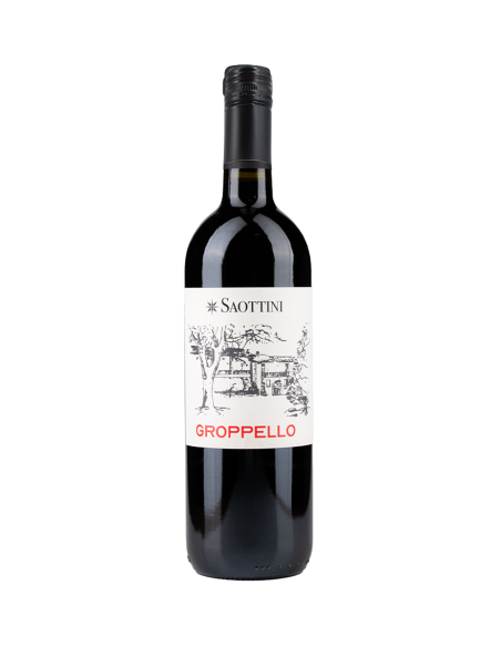 RIVIERA DEL GARDA GROPPELLO 2017 SAOTTINI