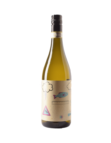 ROERO BIANCO G.B SPECIAL BIO 2023...