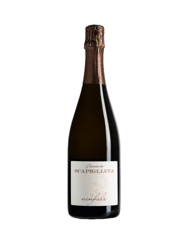 FRANCIACORTA NINFALE 2017 DOSAGGIO...