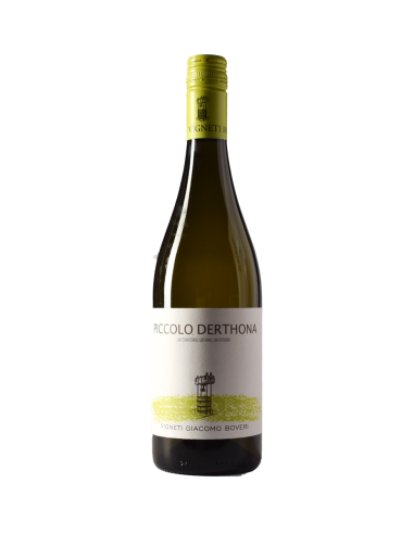 PICCOLO DERTHONA TIMORASSO 2024...