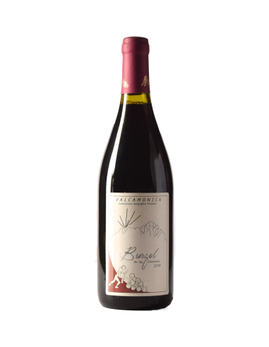 VALCAMONICA ROSSO BURZOL 2018 CONCARENA