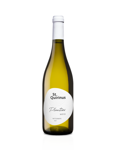 PLANTIES WEISS 2023 PIWI MITTERBERG...