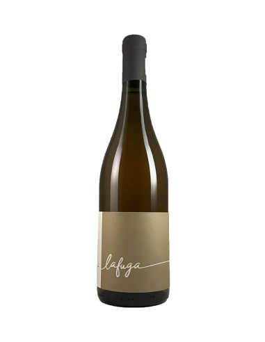 LA FUGA VINO ROSATO 2023 LA MARCA SAN...