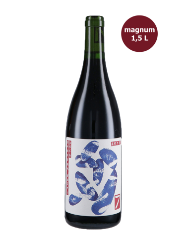 BARBERA D'ASTI 2020 MAGNUM SETTE