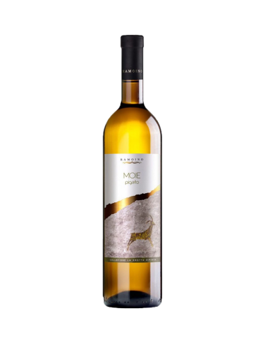 PIGATO MOIE 2021 Ramoino