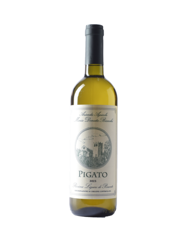 PIGATO BIO 2023 Maria Donata Bianchi