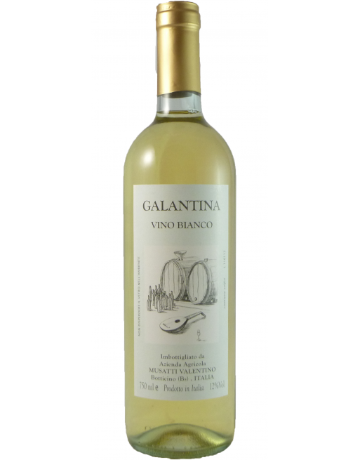 GALANTINA VINO BIANCO DA TAVOLA MUSATTI