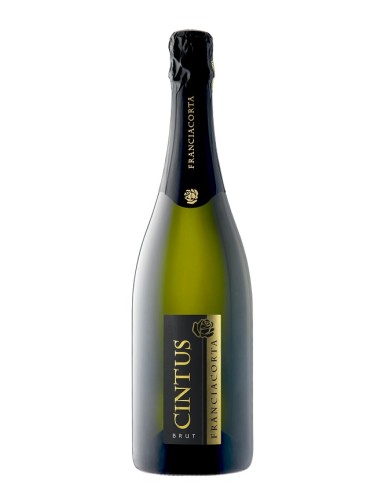 FRANCIACORTA CINTUS BRUT MAGNUM