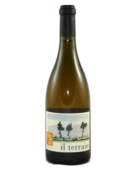 TERRAIO BIANCO TOSCANA 2015 PATERNA