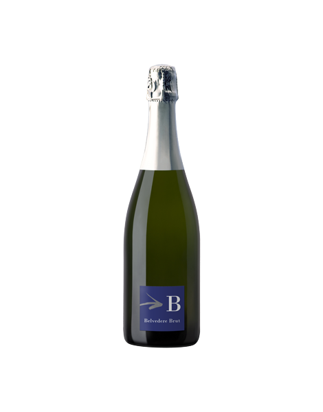 BRUT BELVEDERE MAGNUM SAN MICHELE CAPRIANO DEL COLLE