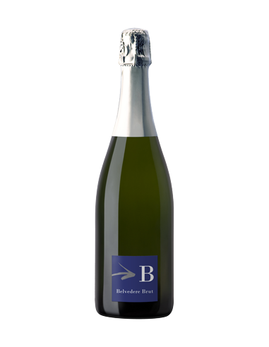 BRUT BELVEDERE MAGNUM SAN MICHELE...